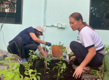 “ปลูกพืชผักสวนครัว” ภายใต้โครงการส่งเสริมองค์กรคุณธรรม ... พารามิเตอร์รูปภาพ 12